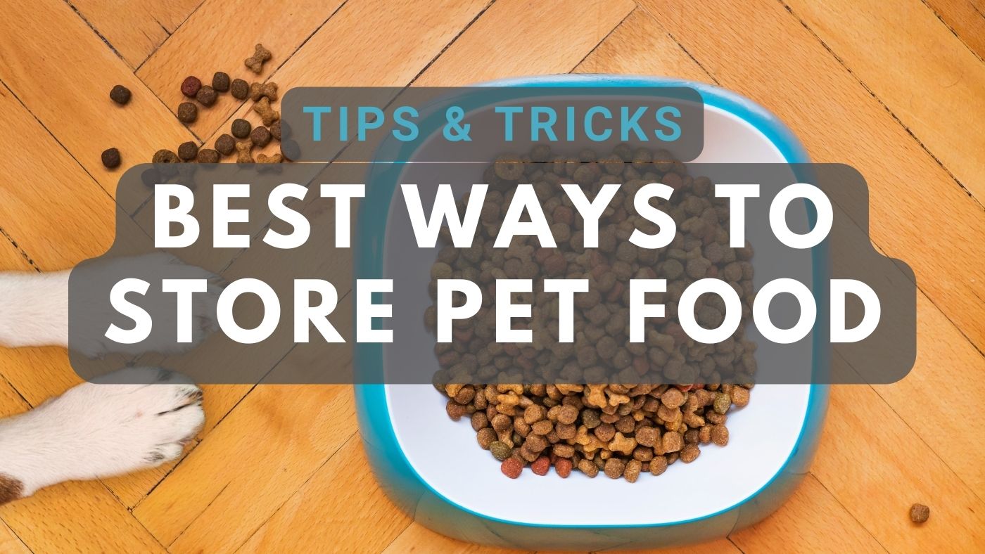 Best Ways to Store Dry Pet Food for Cats and Dogs 8 Tips to Try